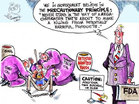 Princípio da Precaução - bendib.com