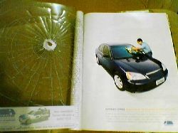 (c) serendipidade.com