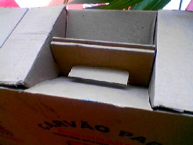 (c) serendipidade.com