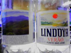 (c) serendipidade.com